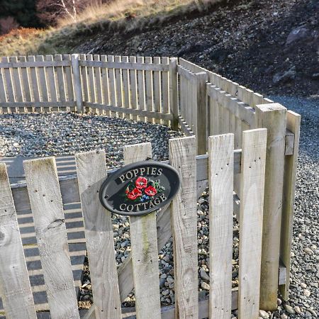 Poppies Cottage Craignure  Zewnętrze zdjęcie