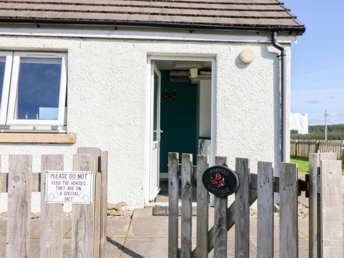 Poppies Cottage Craignure  Zewnętrze zdjęcie